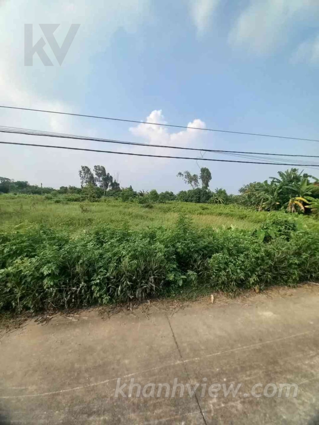 Đất An Thái An Lão 8