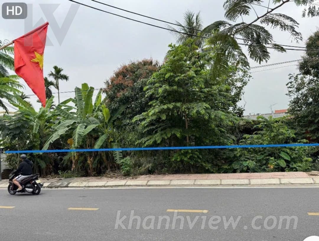 Ảnh thực tế 3