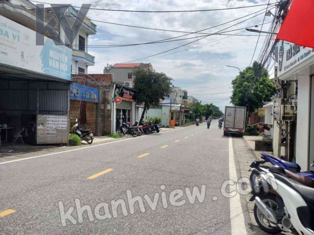 Ảnh 6 Hoa Động