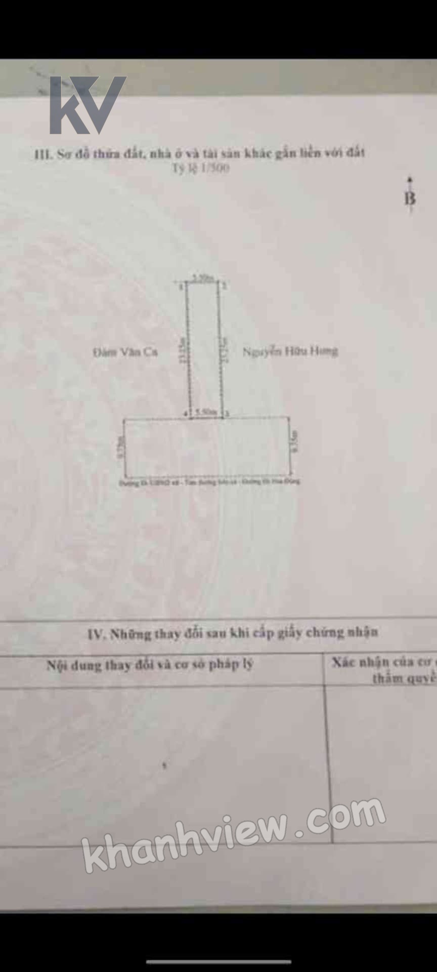 Ảnh 7 Hoa Động