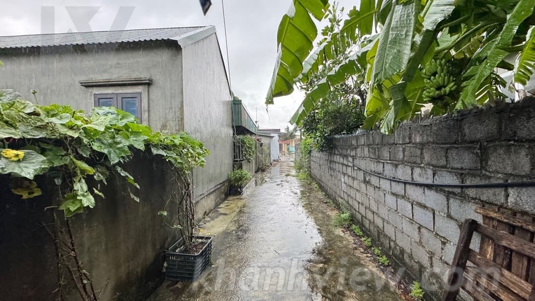 Vườn cây ăn quả