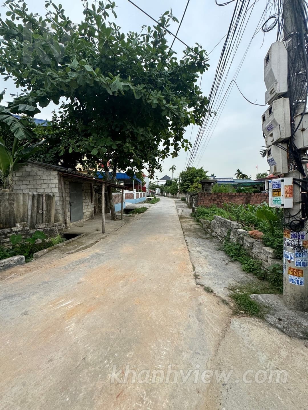 Ảnh thực tế 3