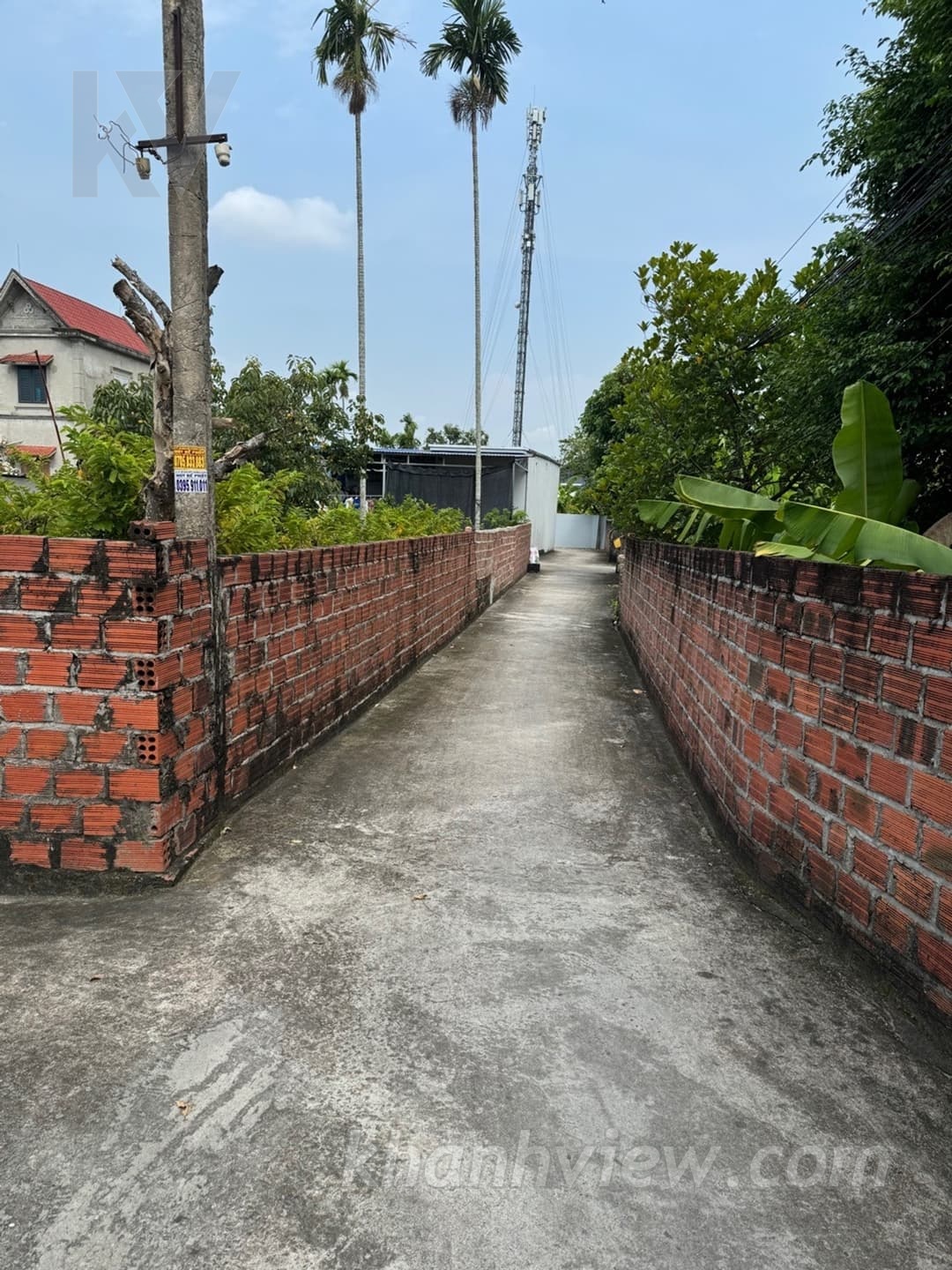Ảnh thực tế đất Thủy Nguyên