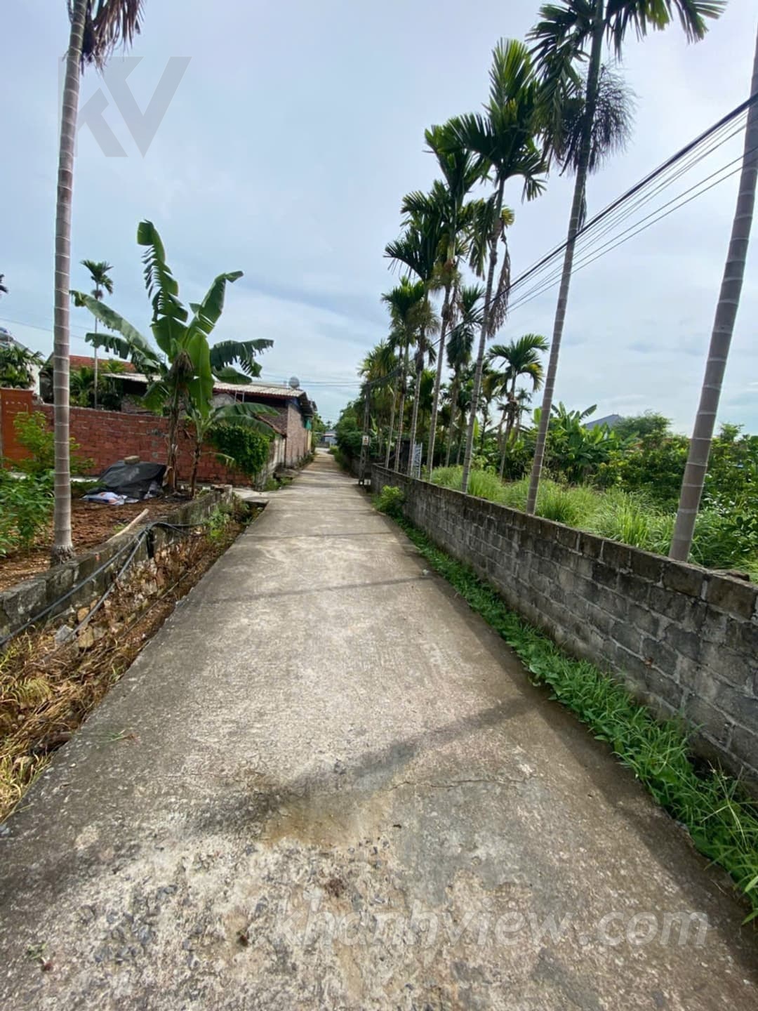 Thực tế đất Thủy Nguyên 4