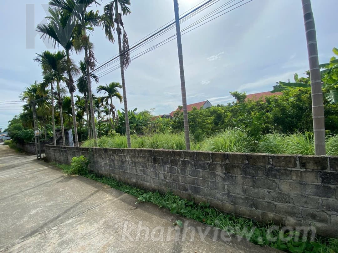 Thực tế đất Thủy Nguyên 5
