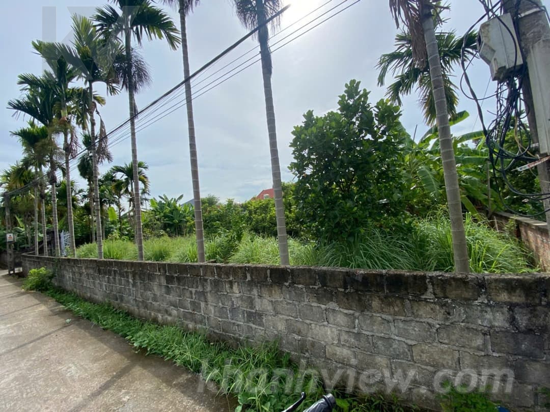 Ảnh thực tế 7