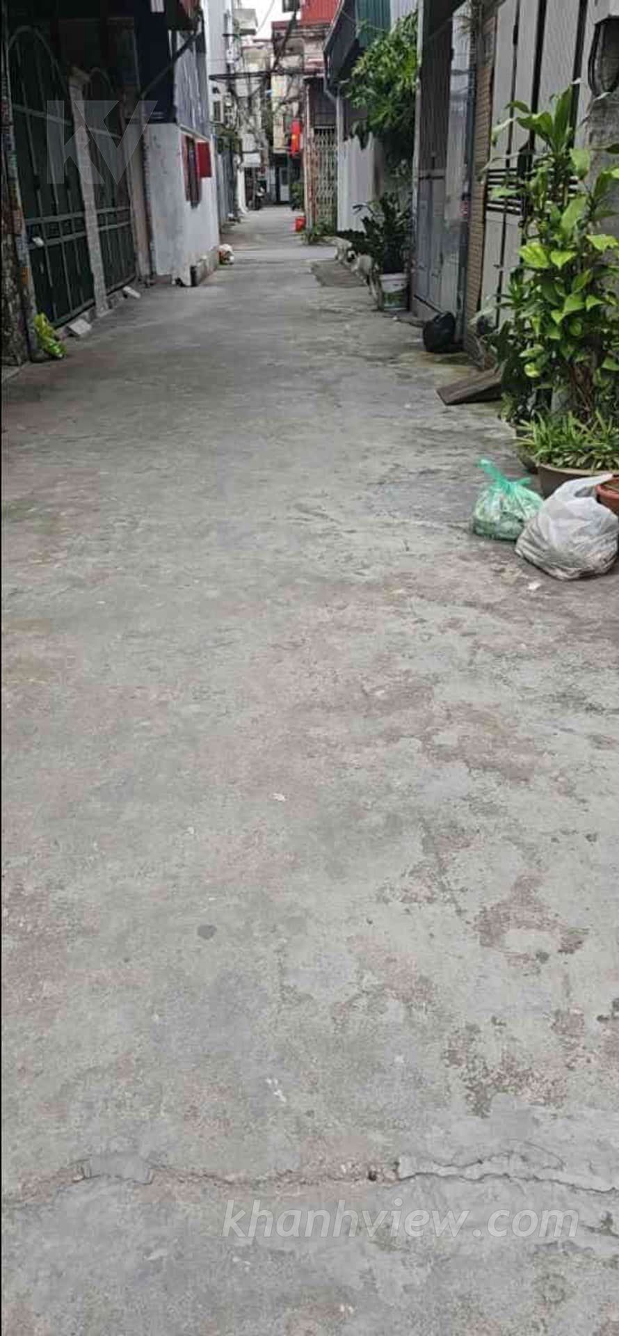 Hình ảnh 10