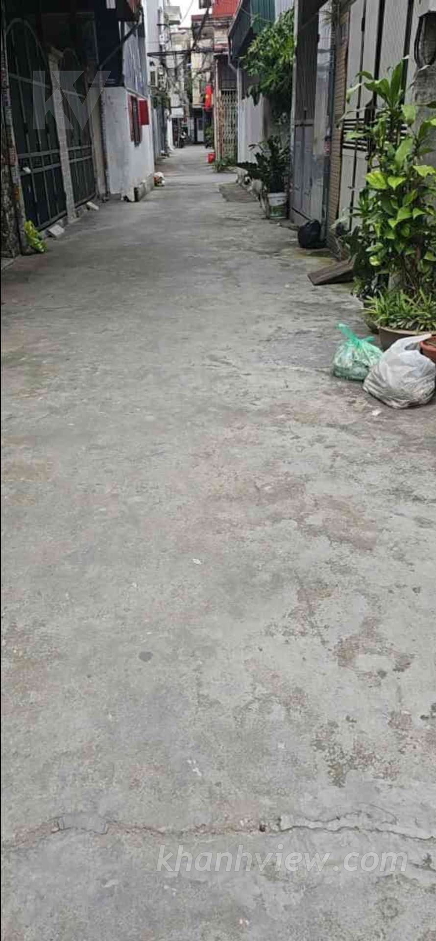 Hình ảnh 4