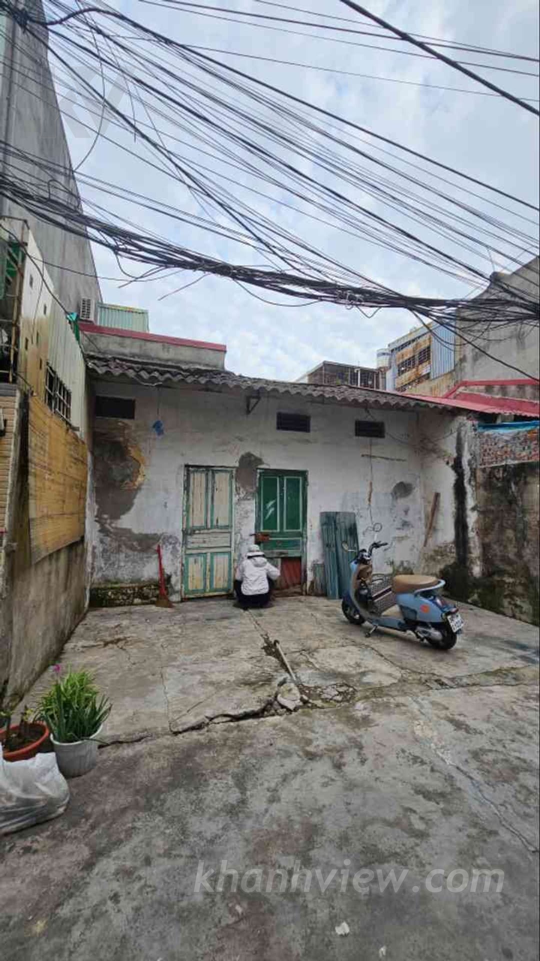 Hình ảnh 8