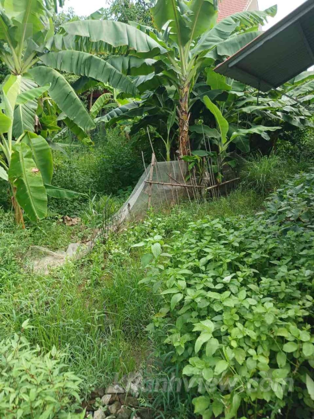 Đất Thấp Linh Kiến Thụy