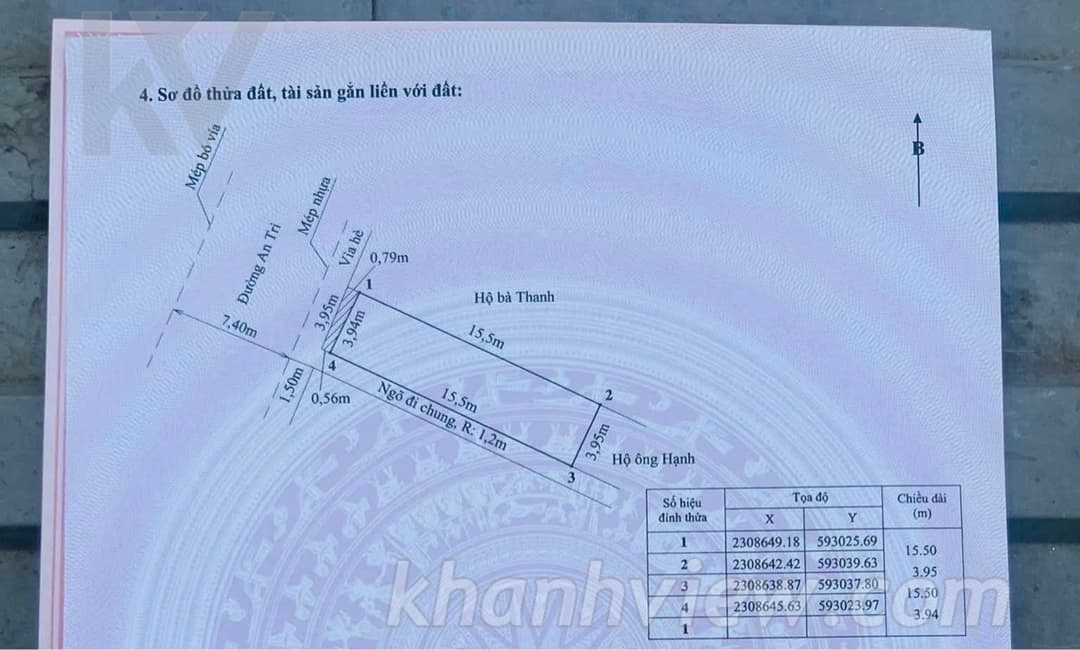 TKIWJY24 Ảnh 7