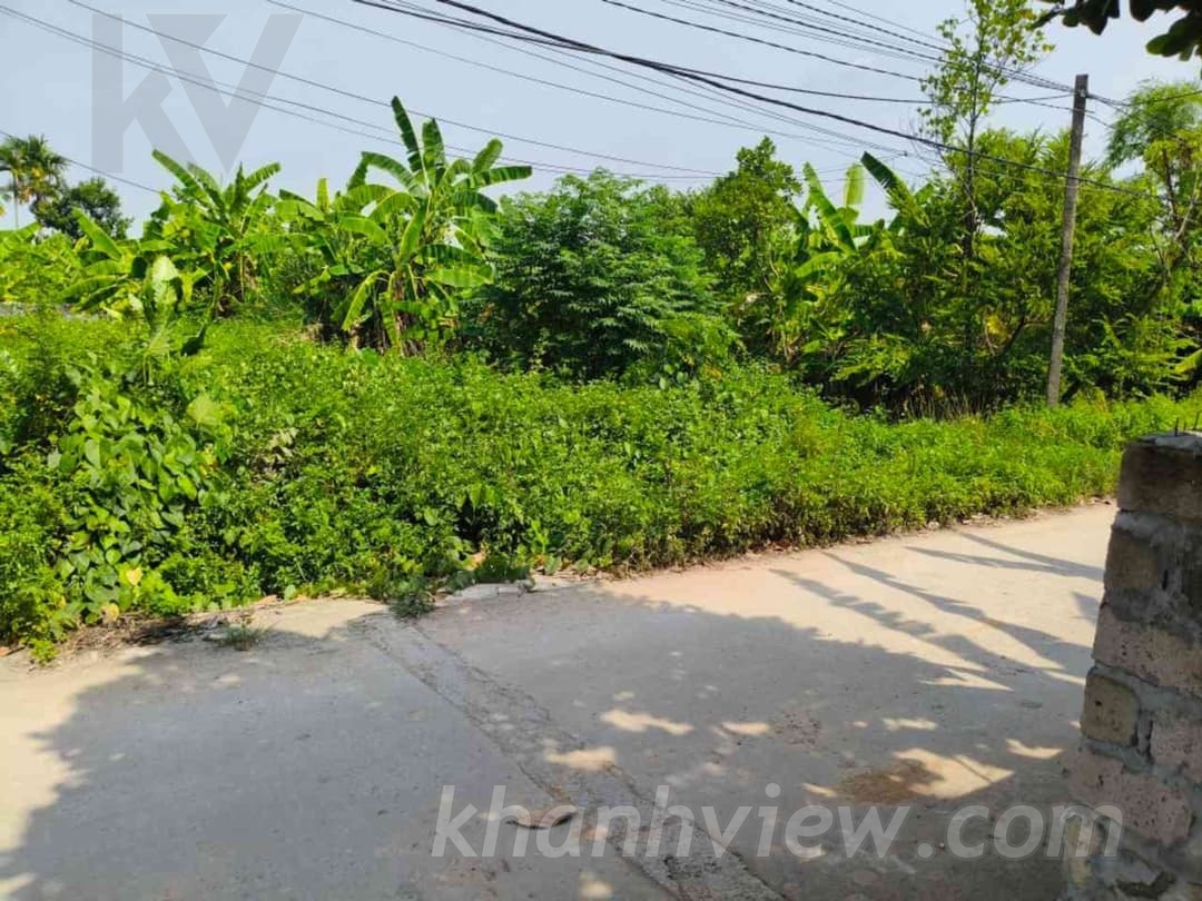 Ảnh thực tế 2