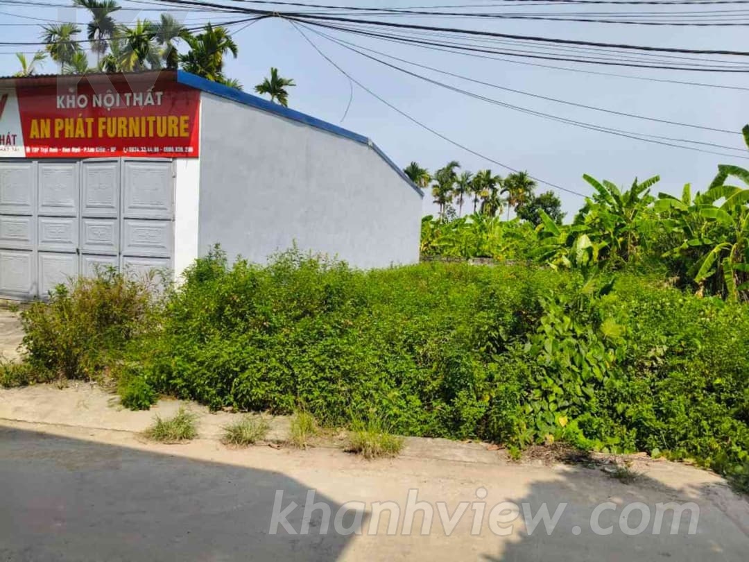 Ảnh thực tế 3