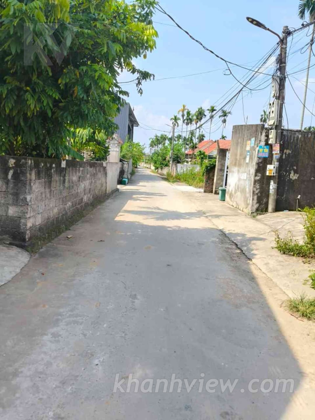Ảnh thực tế 5