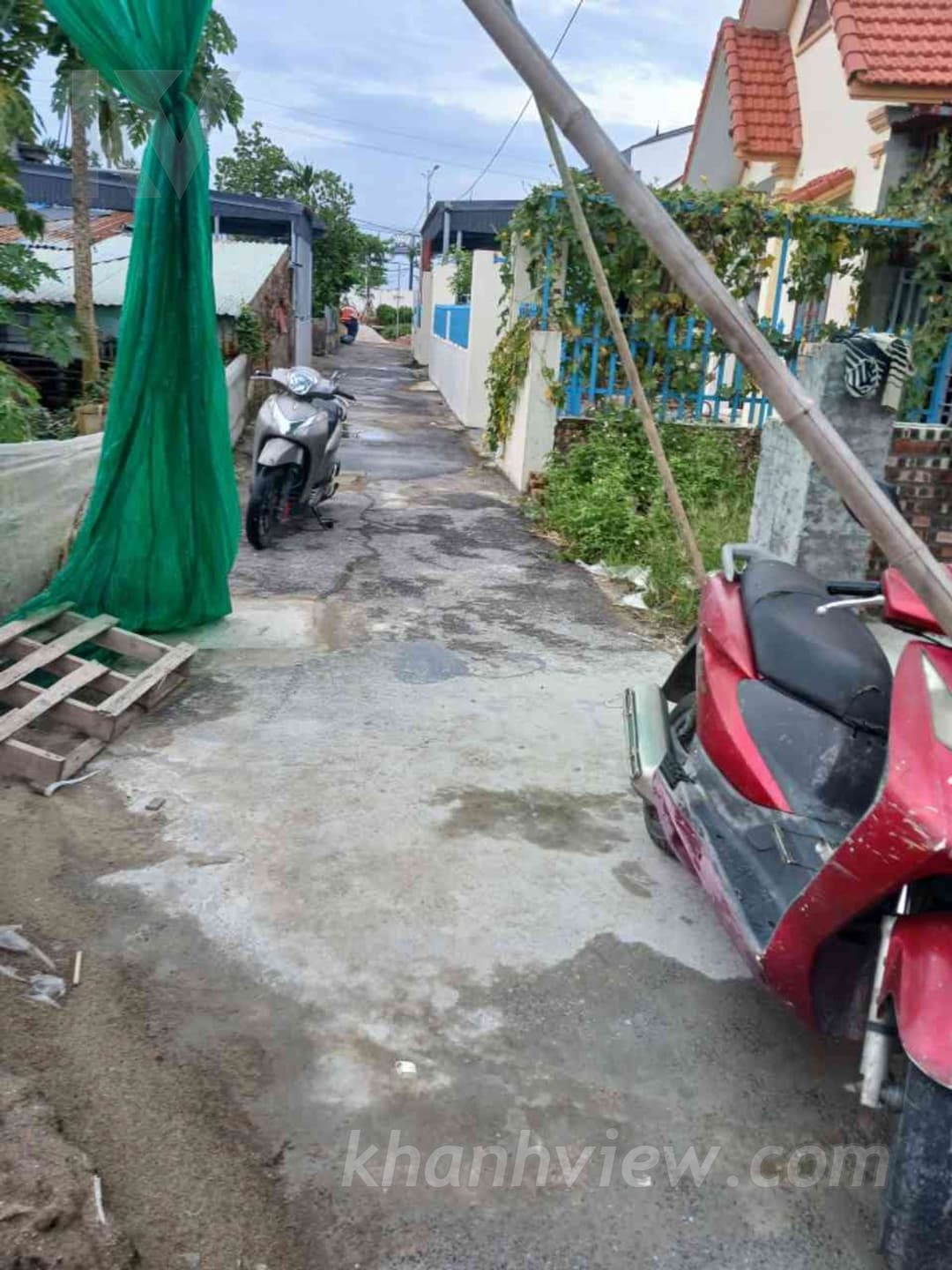 Ảnh thực tế đất 2
