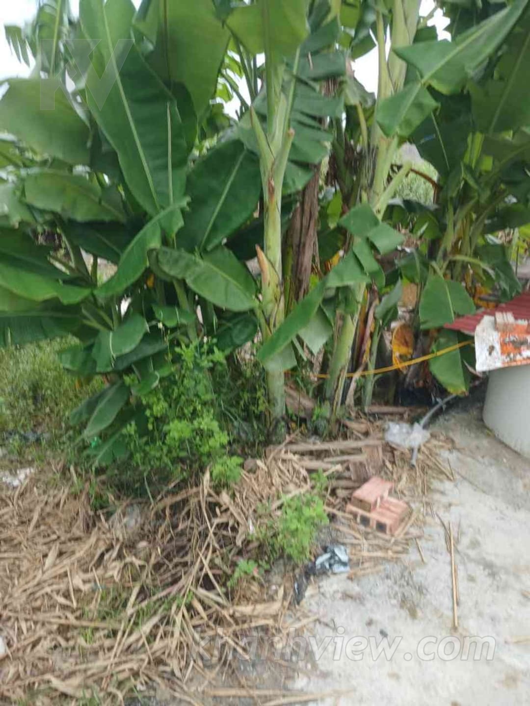 Ảnh thực tế đất 3