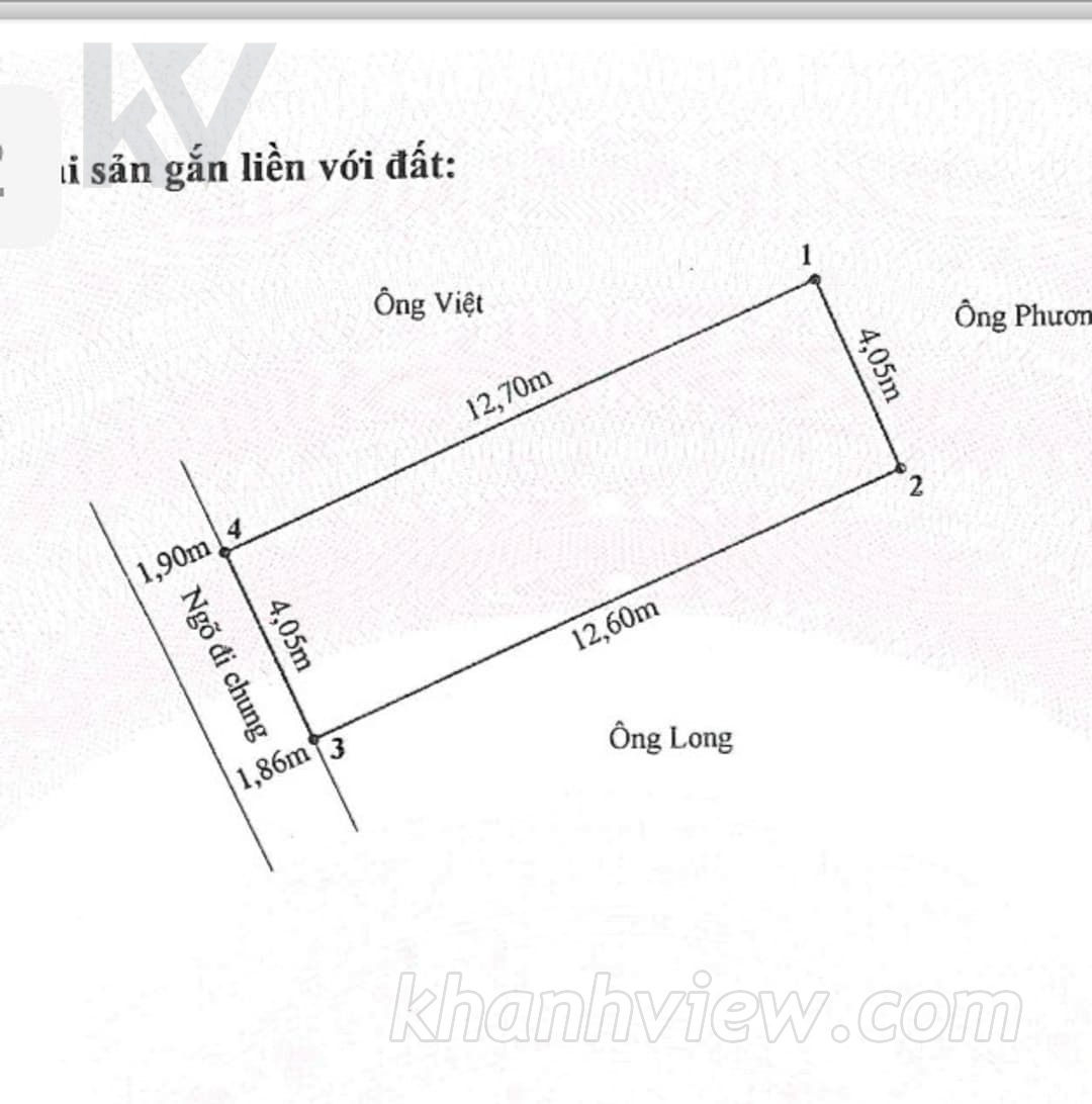 Ảnh nhà 22