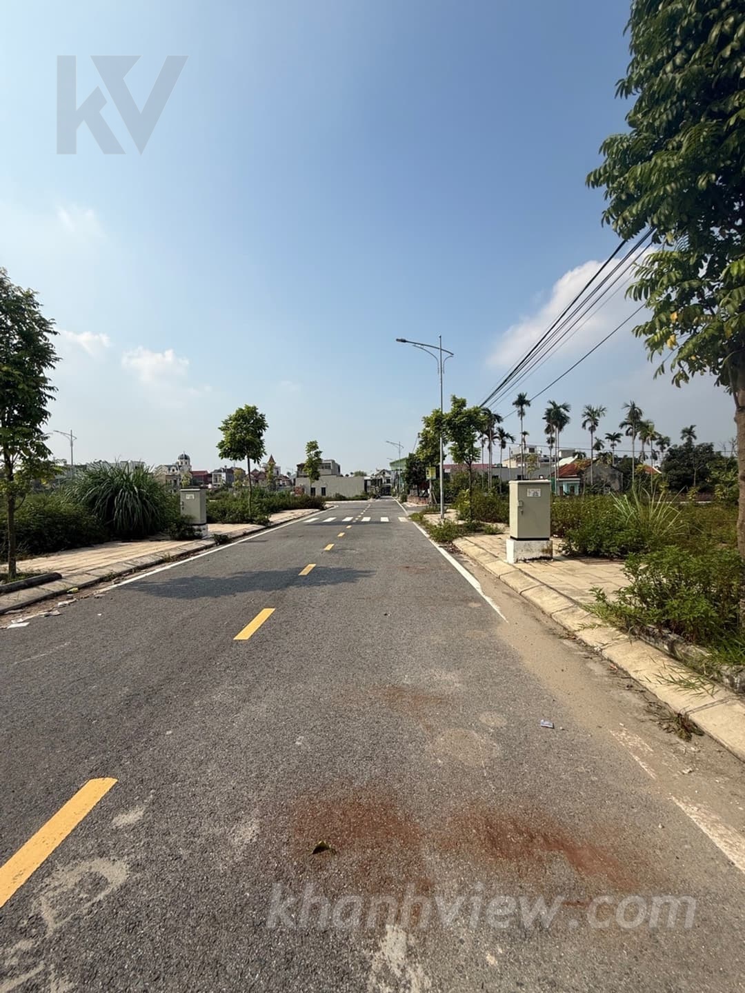 Đất Bãi Trong Hoa Động 3
