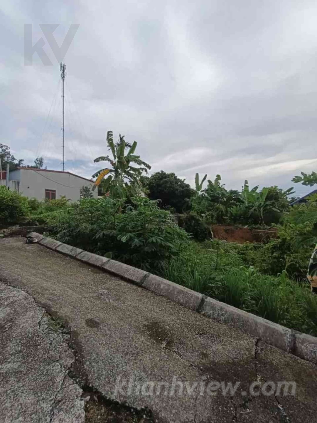 Ảnh thực tế TKK468YQ 5