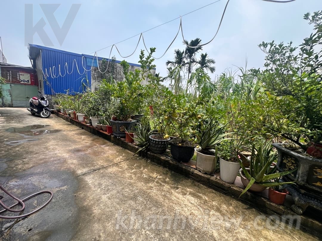 Đất đường Đất Đỏ Kiến An - Ảnh 3