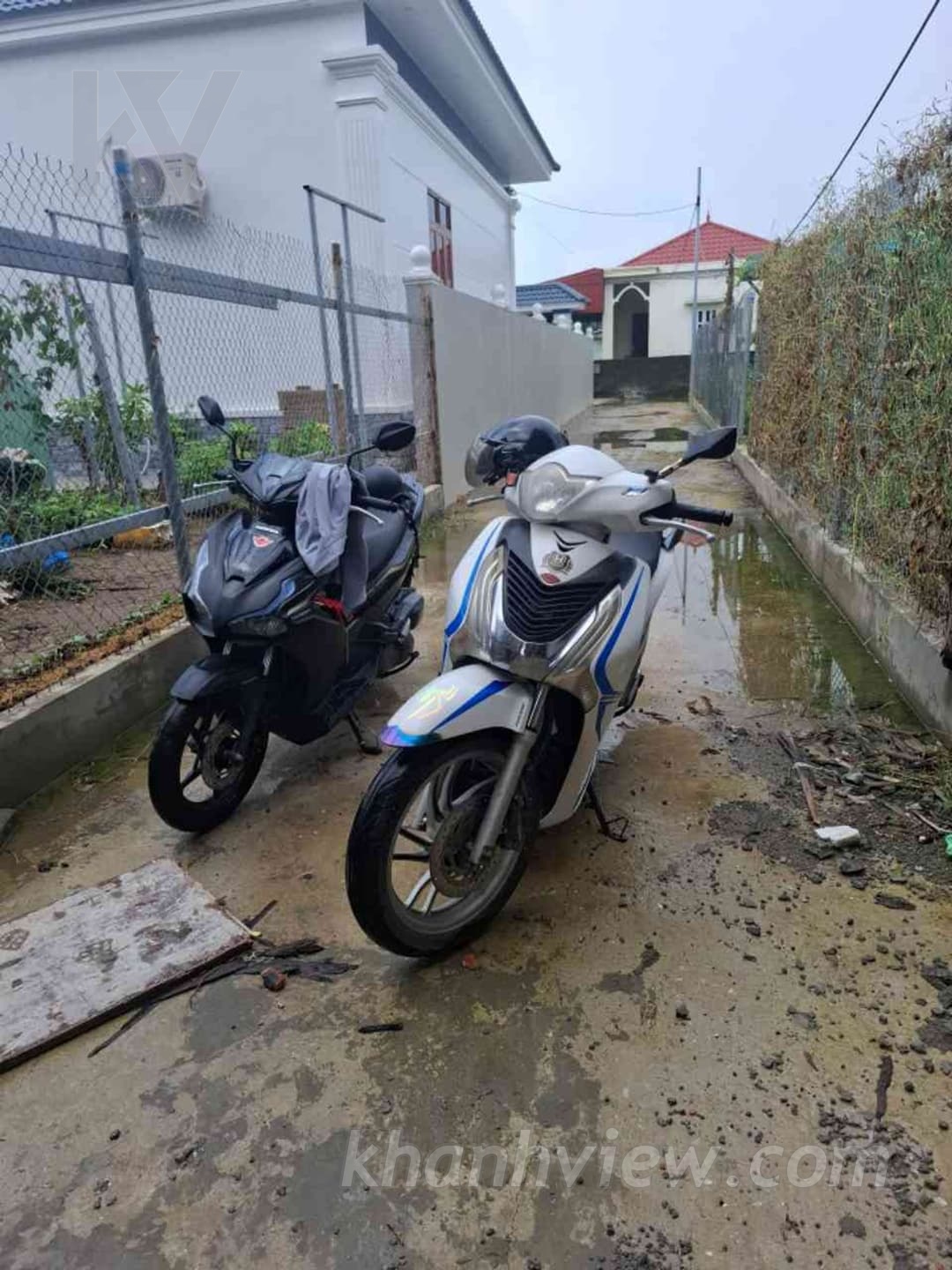 Ảnh thực tế 5