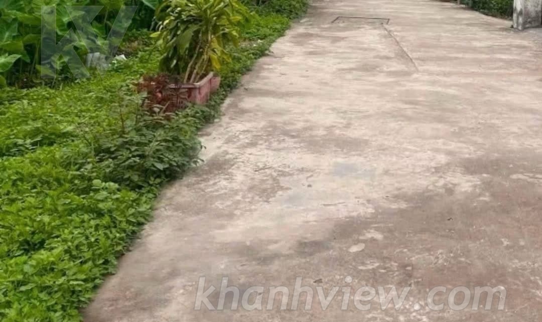 Lô đất TKL11045 ảnh 2