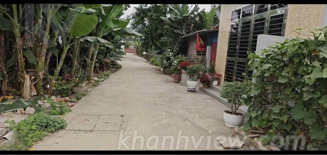 Lô đất TKL11045 ảnh 4