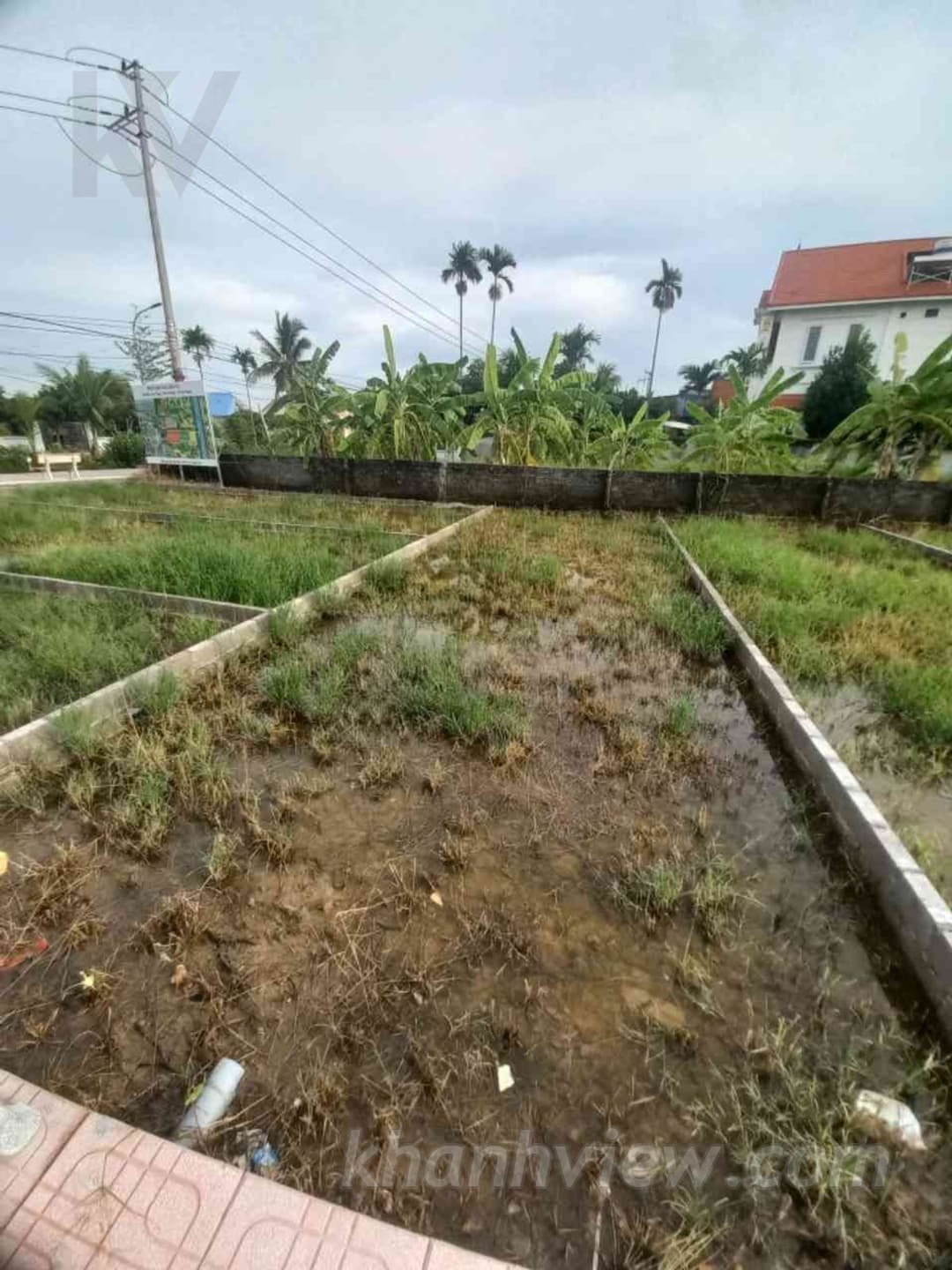 Đất Trực Trang An Lão