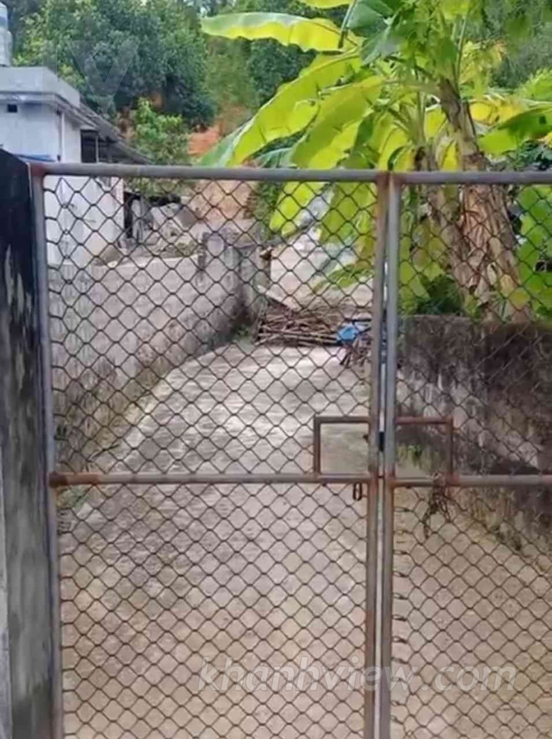 Ảnh thực tế 6