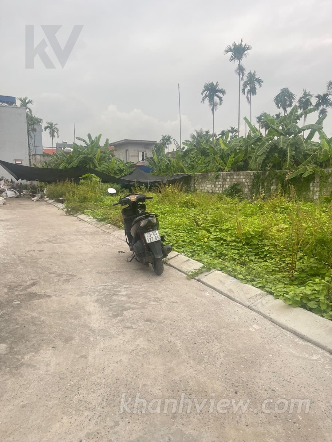 Lô đất Bái Trong 8