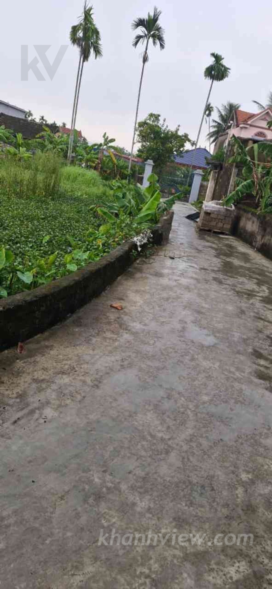 Thửa 587B Trinh Hưởng 6