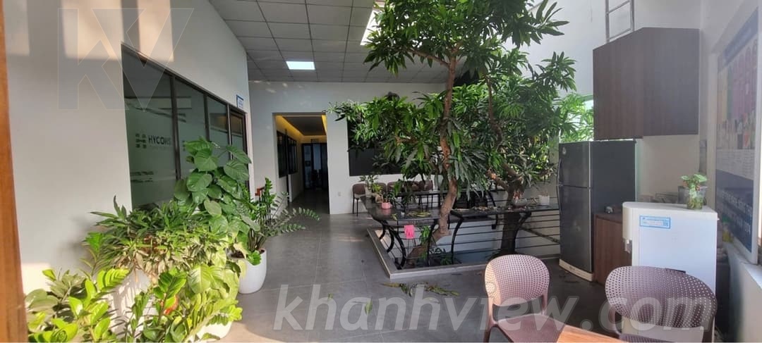 Ảnh thực tế TKMLQEZ3 6