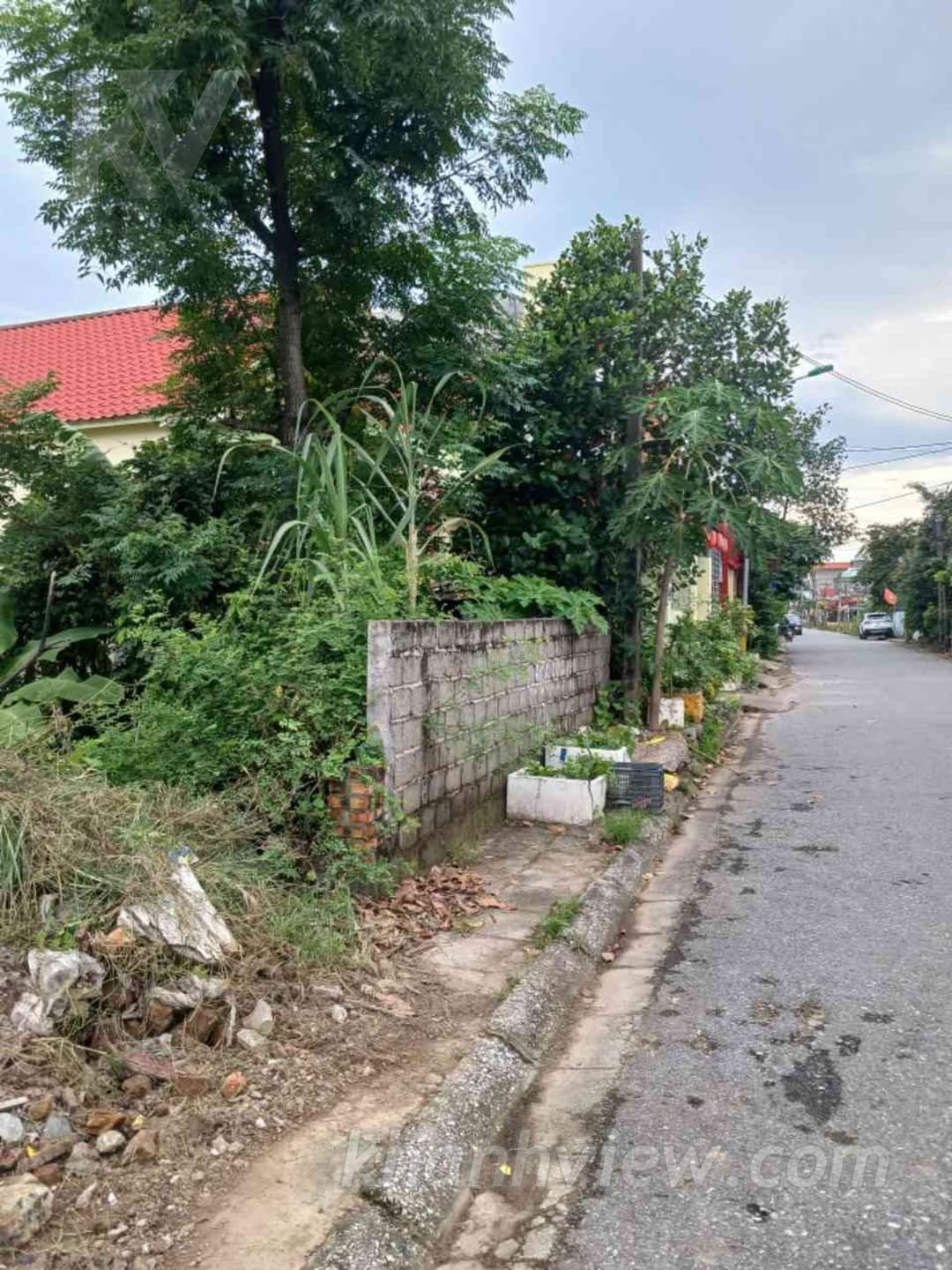Ảnh thực tế 3
