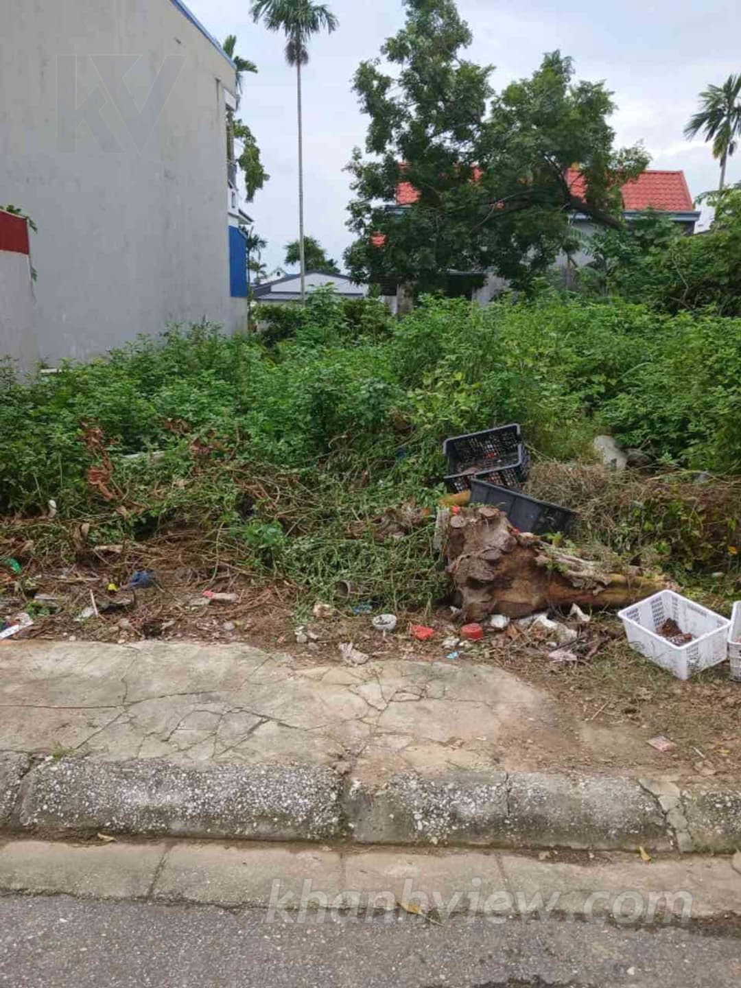 Ảnh thực tế 4