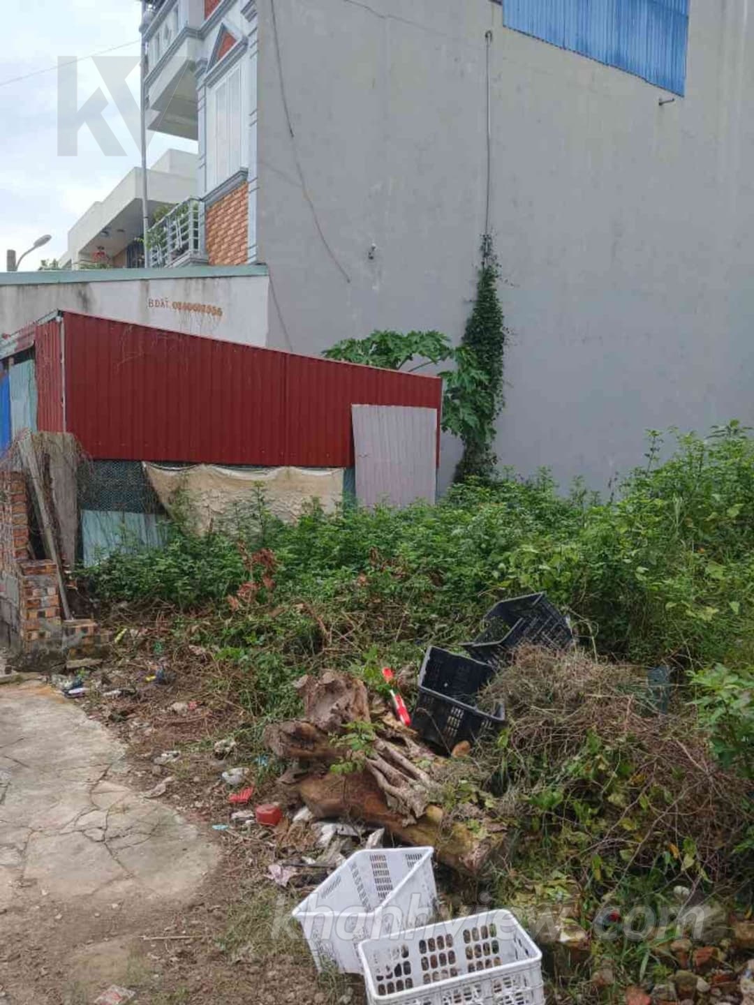 Ảnh thực tế 6