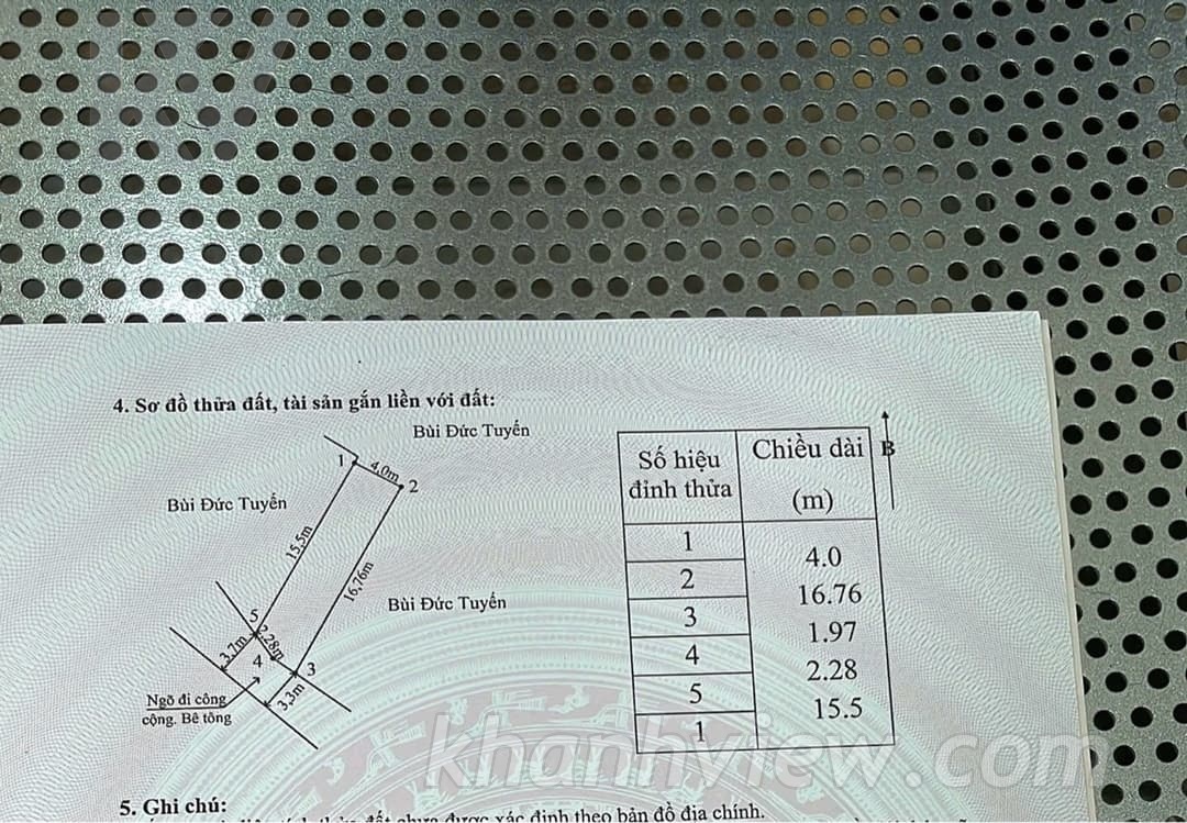 Ảnh thực tế 5