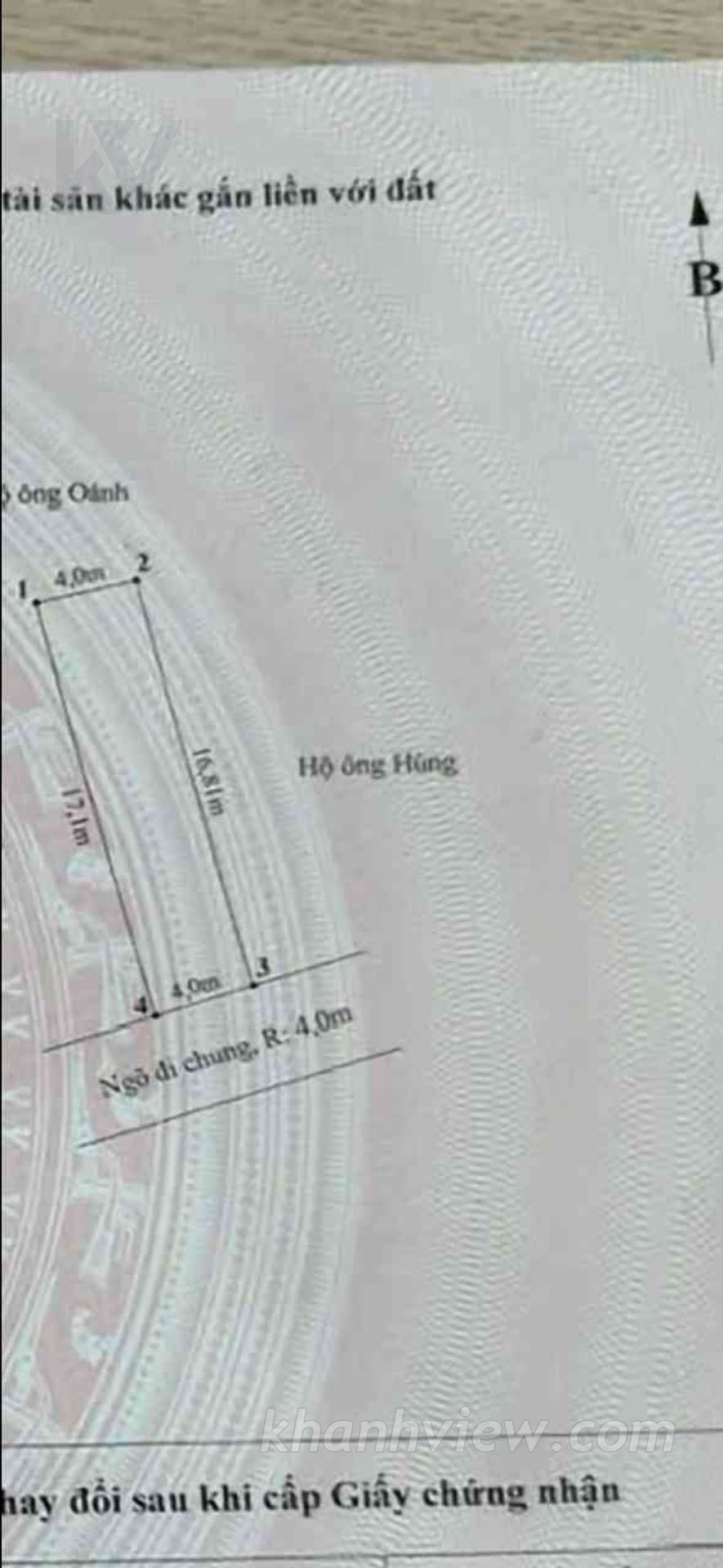 Ảnh thực tế 8