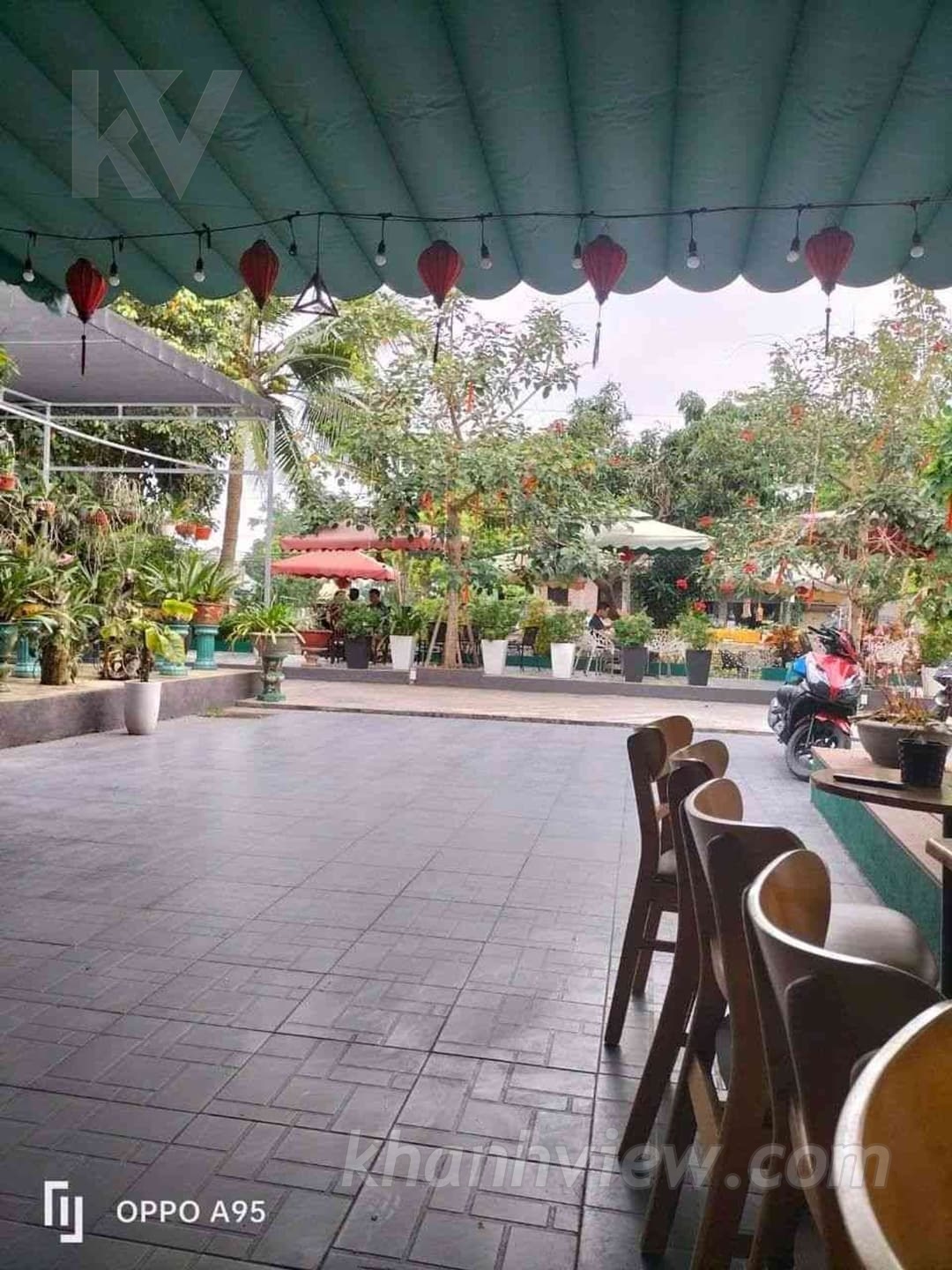 Ảnh thực tế 3