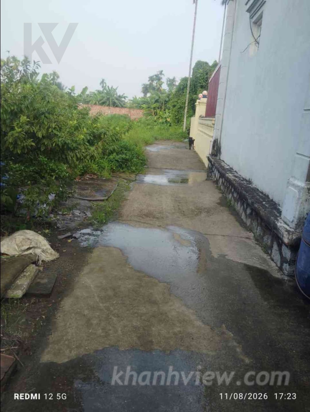Ảnh thực tế 4