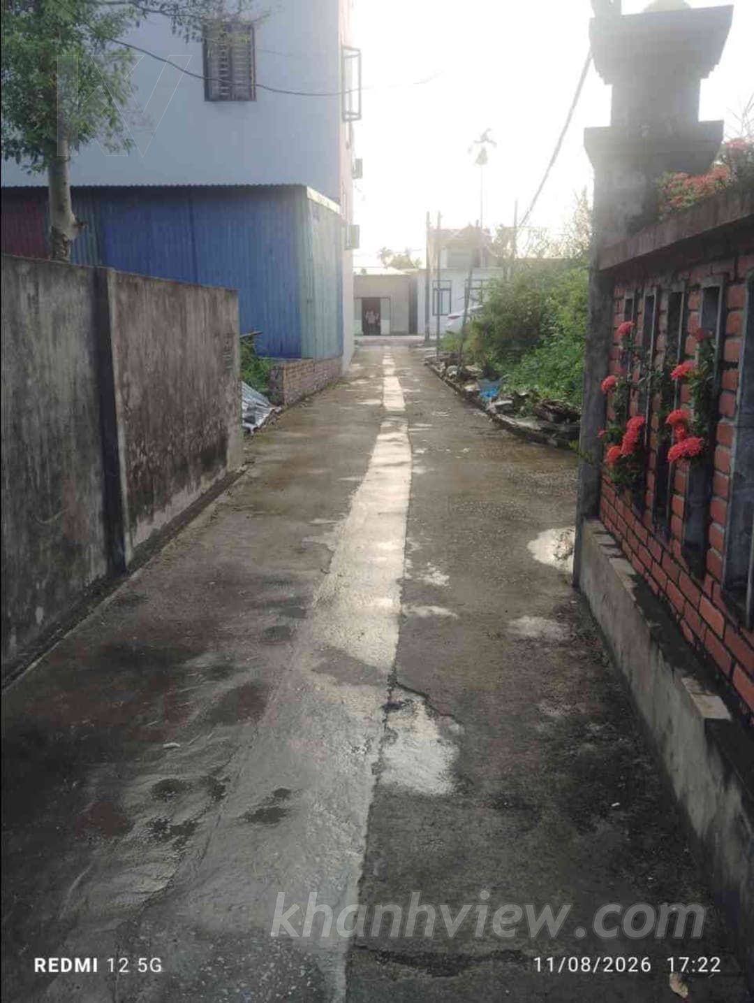 Ảnh thực tế 5
