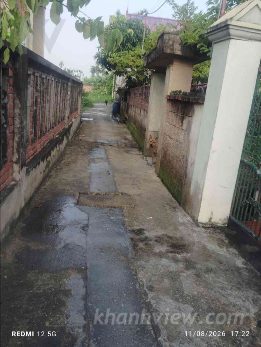 Ảnh thực tế 6