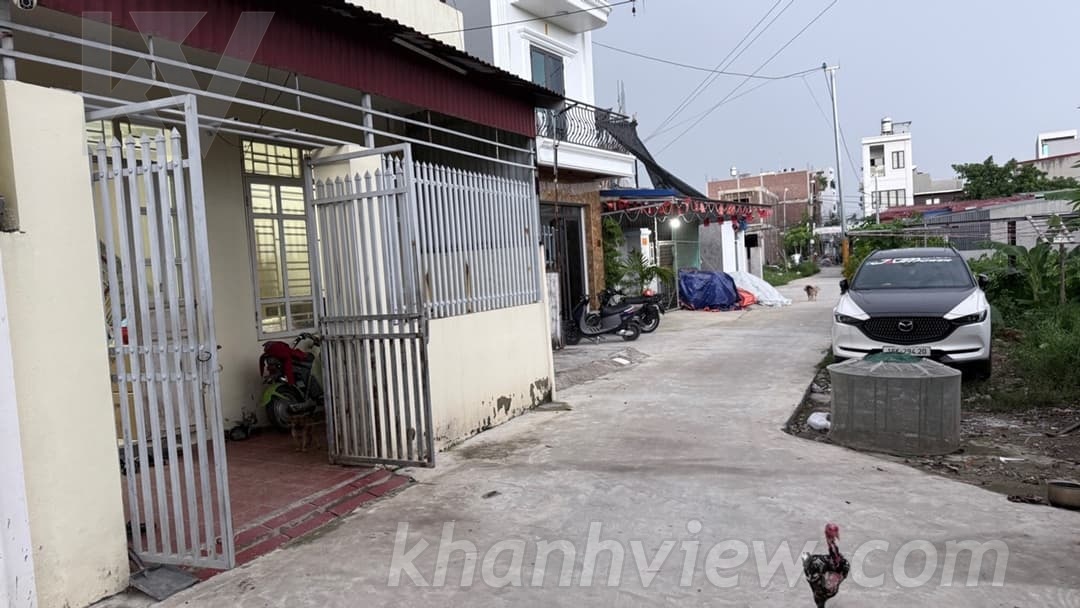 Ảnh thực tế 4