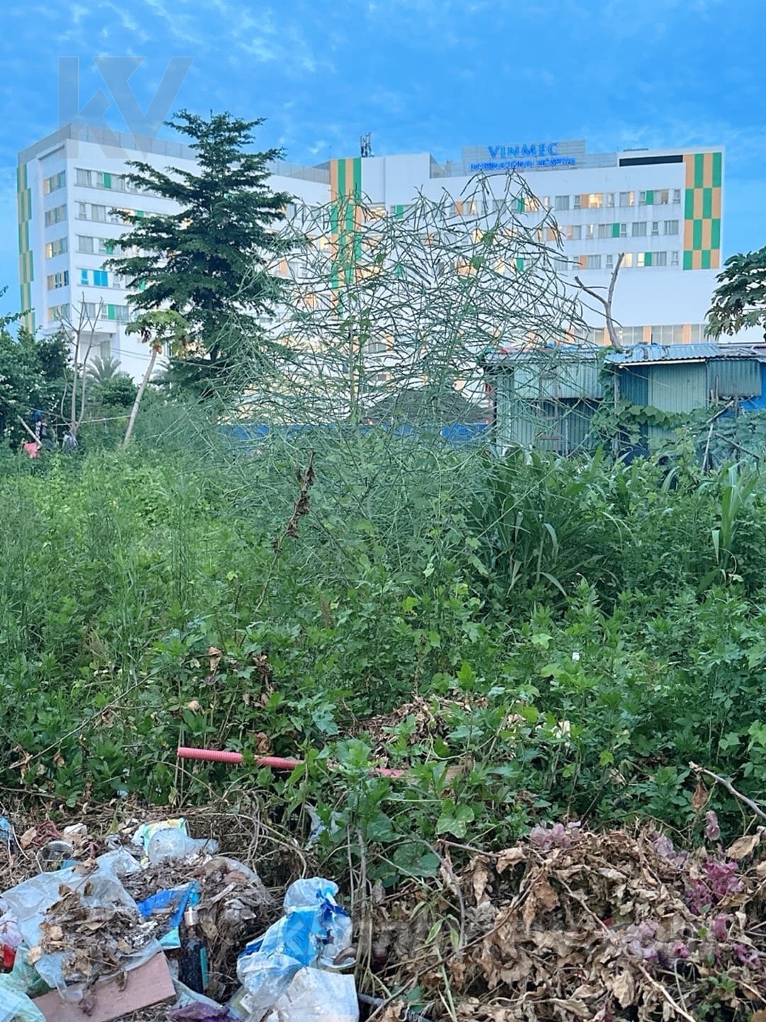 Ảnh thực tế Bùi Viện 3