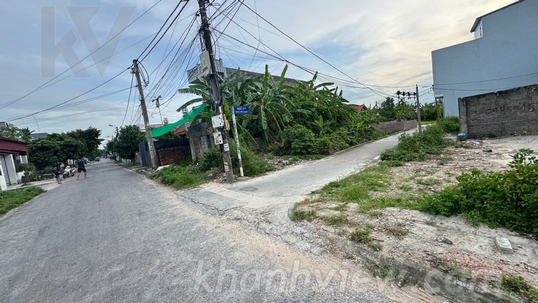 Ảnh thực tế 3