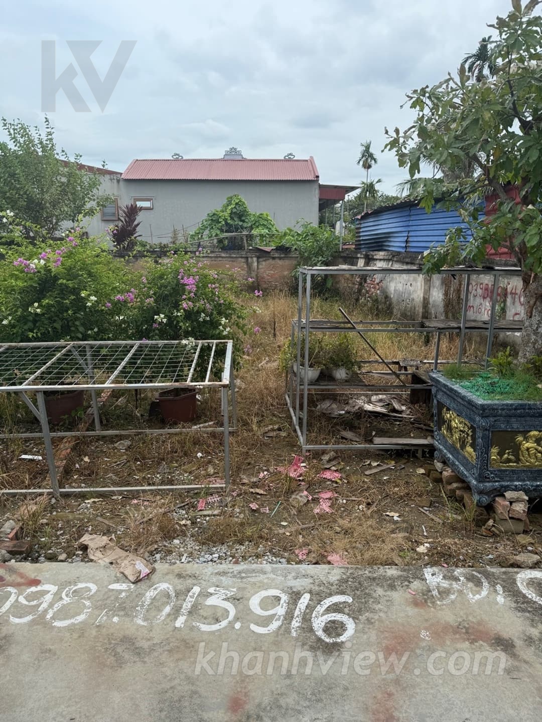 Ảnh thực tế 3