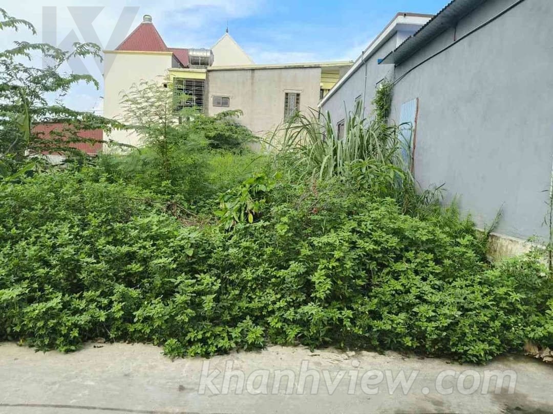 Lô đất Hoàng Động Thủy Nguyên Hải Phòng