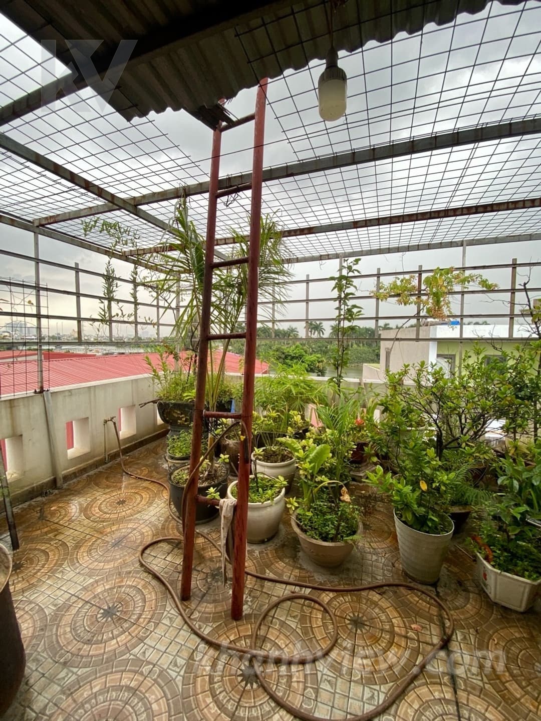 Ảnh thực tế 15