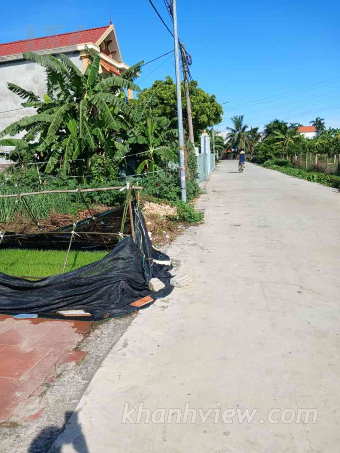 Ảnh thực tế đất Quốc Tuấn An Lão 4