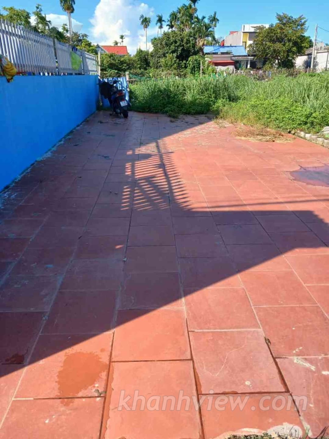 Ảnh thực tế đất Quốc Tuấn An Lão 5