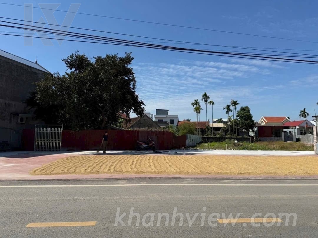 Đất Hoa Động Thủy Nguyên 2